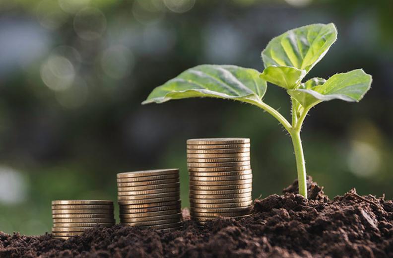 Financing a Rural Property AgCarolina Farm Credit